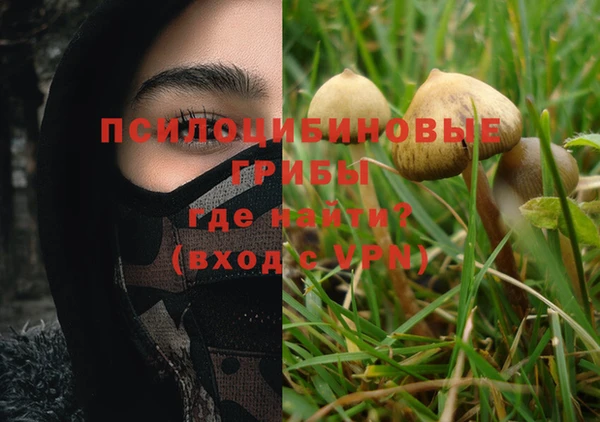 прущие крисы Богданович