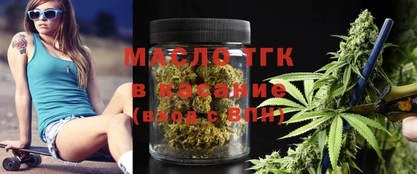молекула духа Богородицк