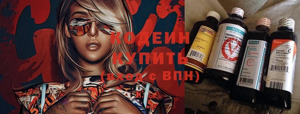 молекула духа Богородицк