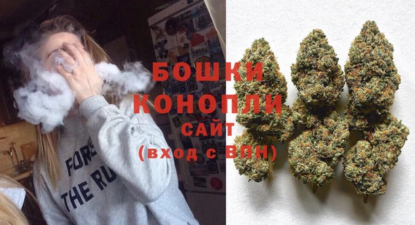 молекула духа Богородицк