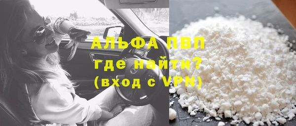 молекула духа Богородицк