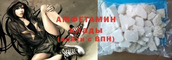 молекула духа Богородицк