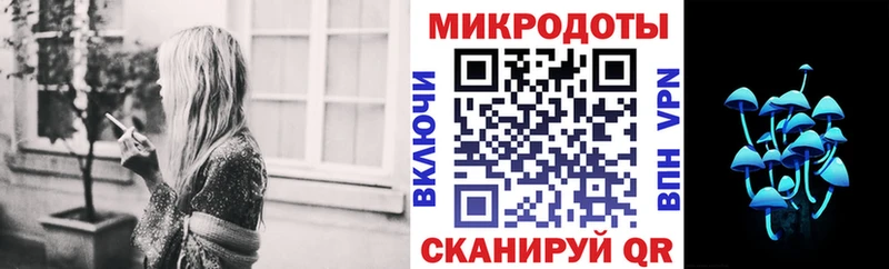 Купить где  Североморск  Псилоцибиновые грибы Psilocybe 