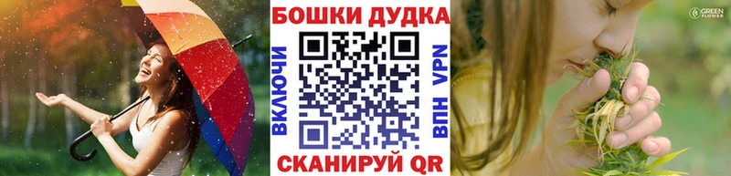 Бошки Шишки гибрид  Купить закладки  Североморск 
